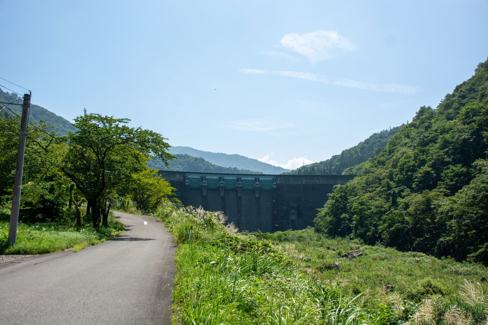山間部の道路から見える鷲ダムと周囲の緑豊かな自然風景