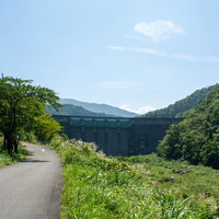 生い茂る木々と草むらの先に建つ鷲ダムの写真