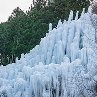 おびただしい数の氷柱に圧倒される（湧水公園）の写真