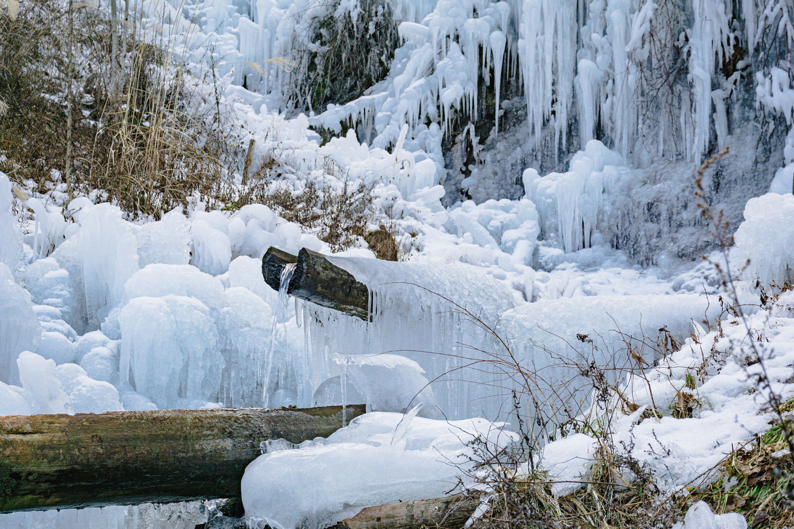 氷に覆われた湧水公園で筧が氷の中から顔を出している冬の風景