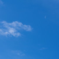 青空に浮かぶはかなげな月の写真