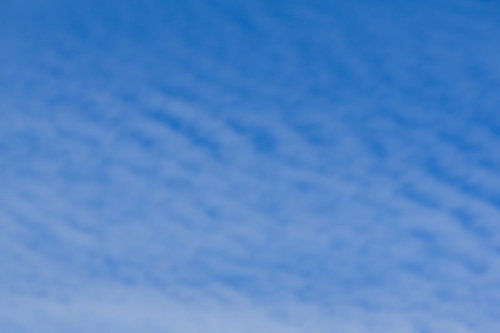 ほんわりとにじんだような巻積雲