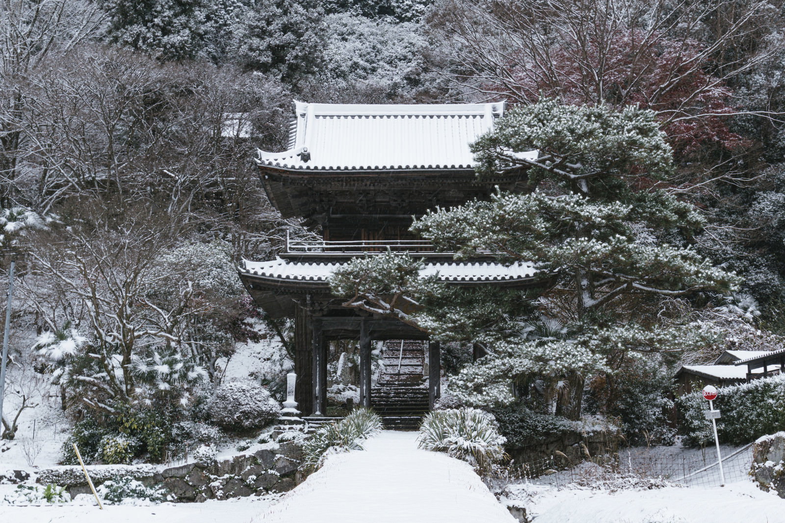 雪景色の中に立つ大鷲院山門の風景