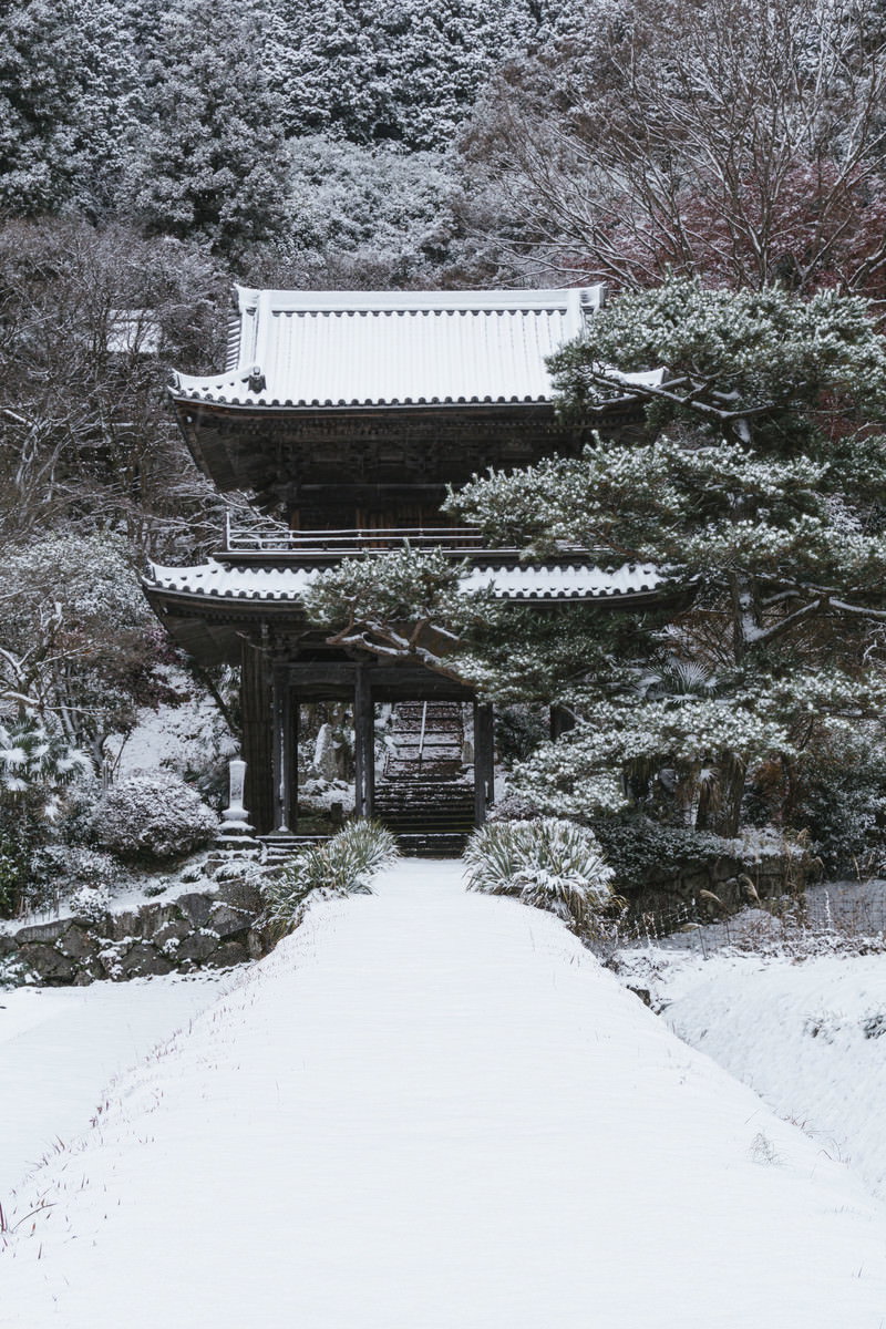 雪が降り積もる大鷲院の山門と参道の冬景色