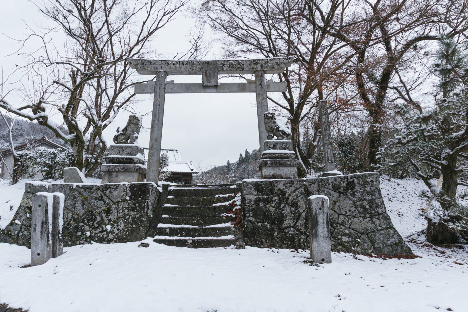 雪に覆われた八幡神社の石段、両脇の狛犬と奥の鳥居が雪化粧している冬景色