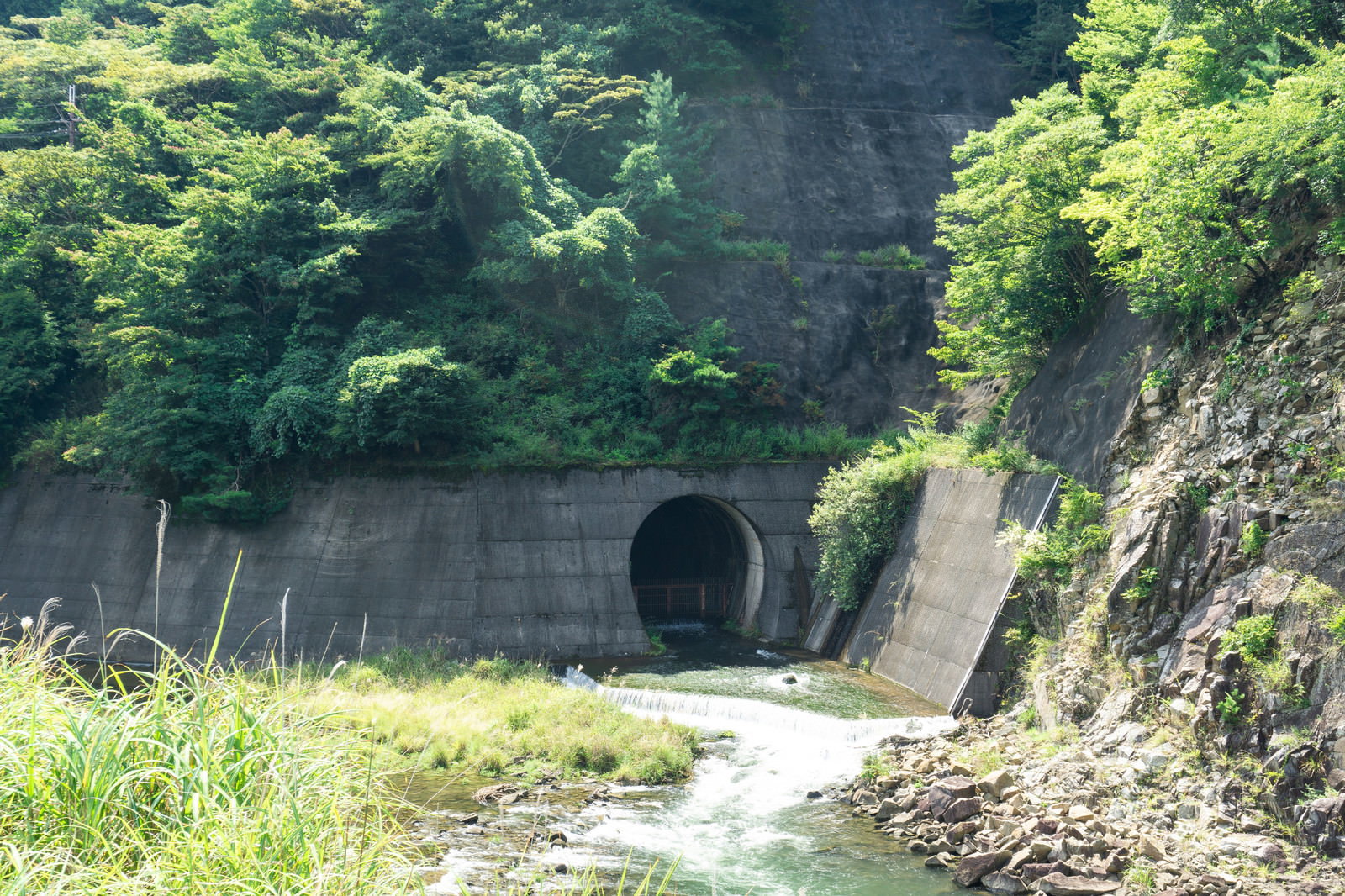 青土ダム公園から見た下流への放水口トンネル入口と周囲の緑豊かな山の風景