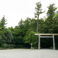 緑に囲まれて建つ外宮一の鳥居（豊受大神社）の写真