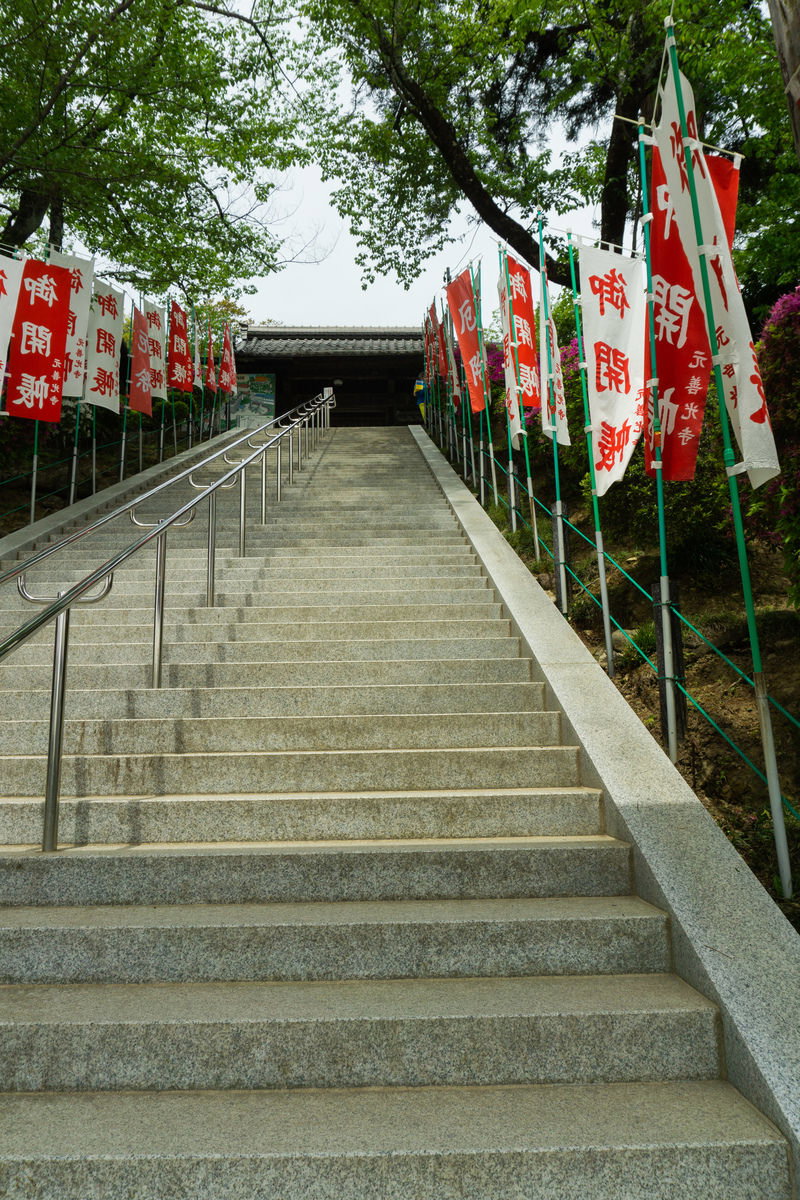元善光寺の参道に赤白の旗が立ち並び、石段の奥に山門が見える景観