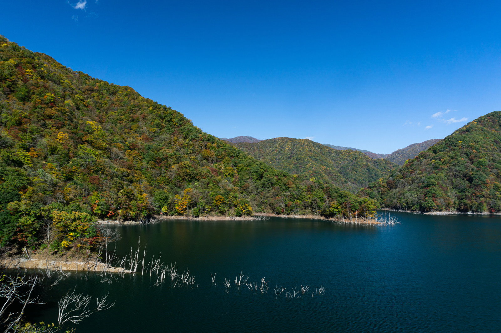 秋晴れの青空の下、静かな湖面と緑の山々に囲まれた徳山湖の風景