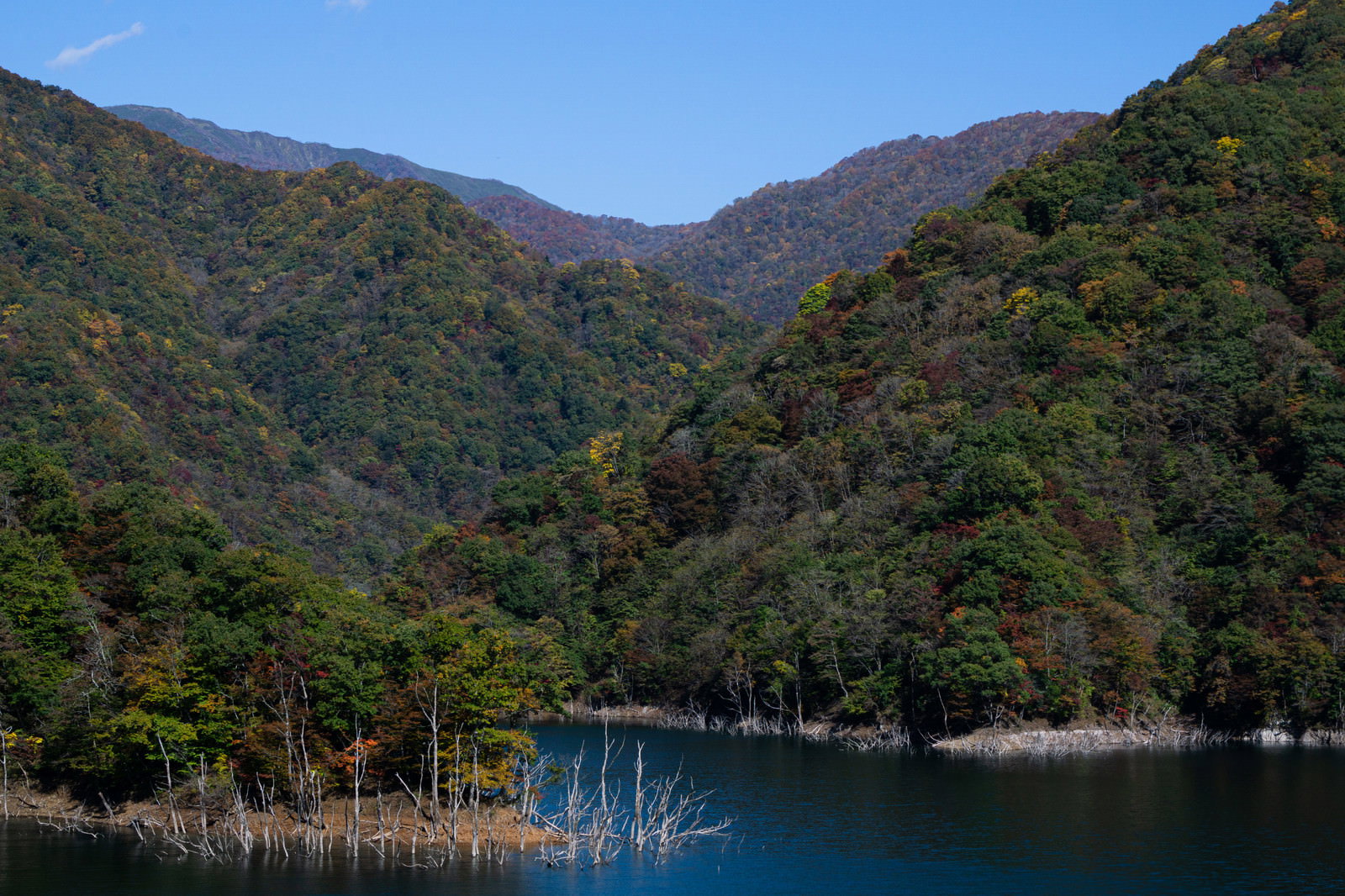徳山湖の周りに紅葉で色づいた山々が連なる秋の風景