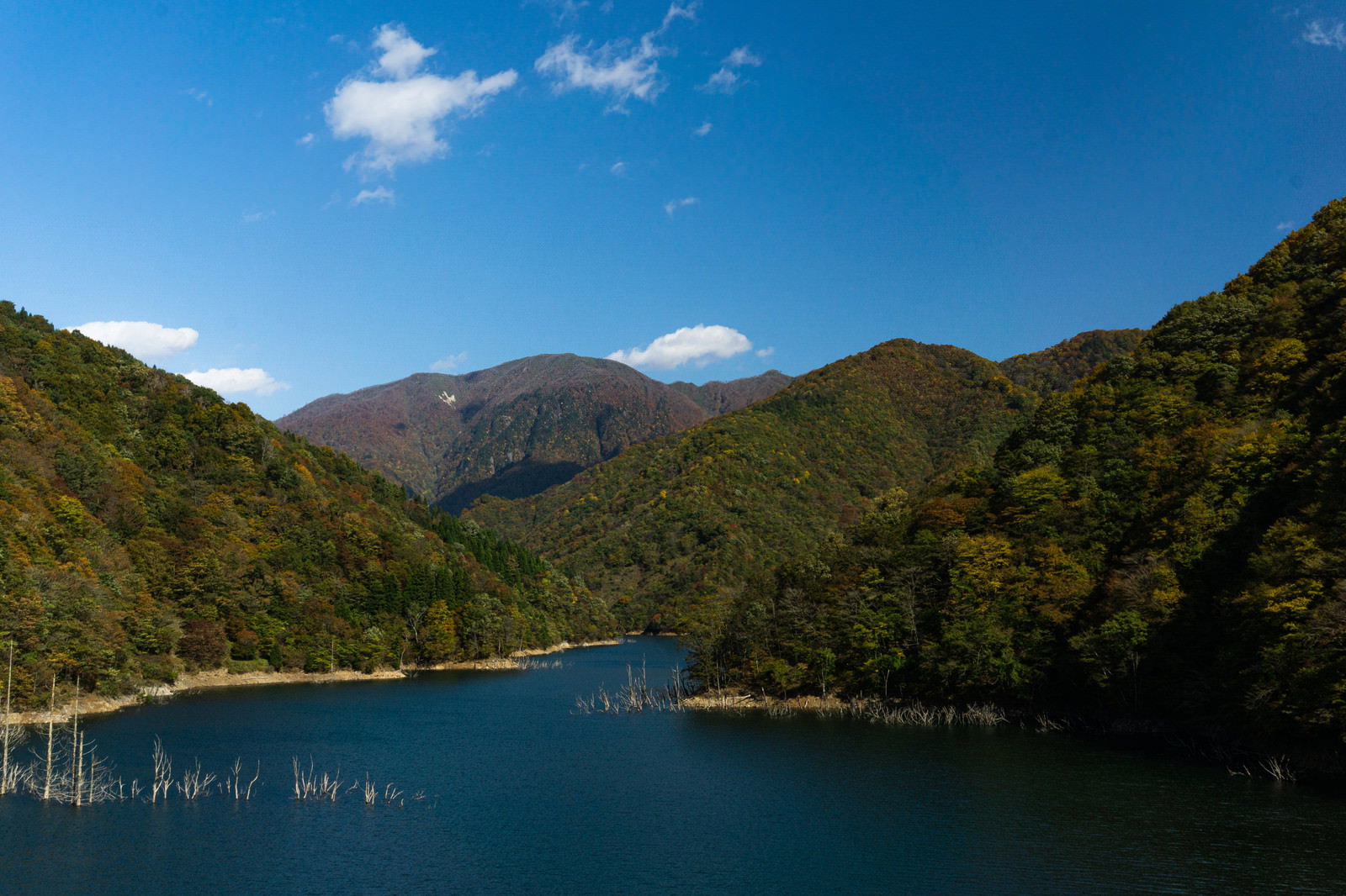 紅葉した山々に囲まれた徳山湖の美しい風景