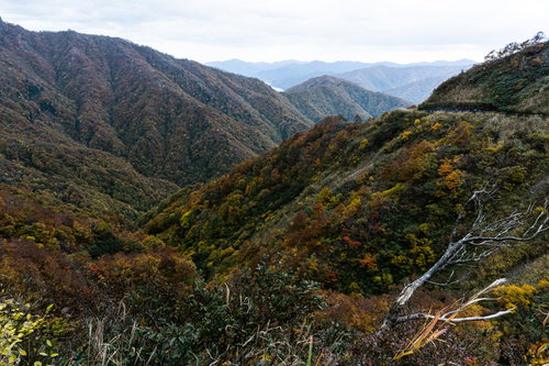紅葉の山並みと、その奥に見える徳山湖