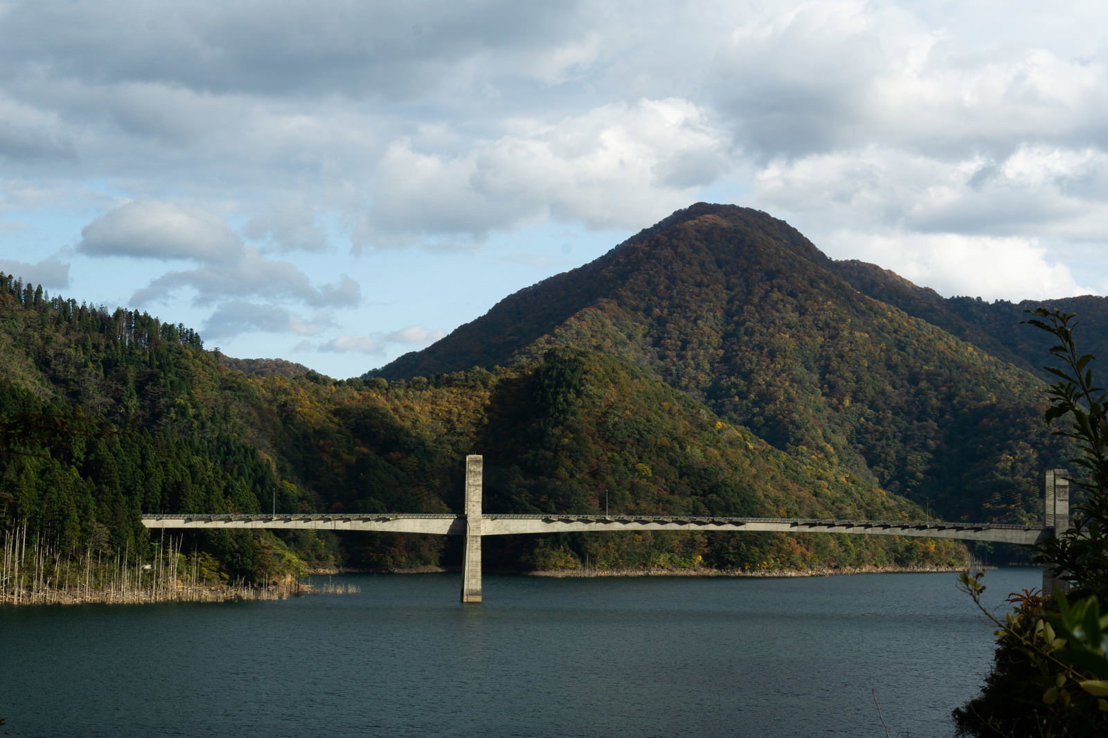 曇り空の下、徳山湖に架かる白い徳之山八徳橋と背景の山々