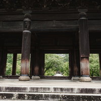 三門越しの新緑の木々の向こうに見える法堂の写真
