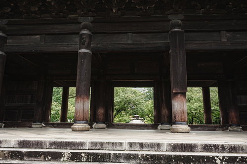 三門越しの新緑の木々の向こうに見える法堂