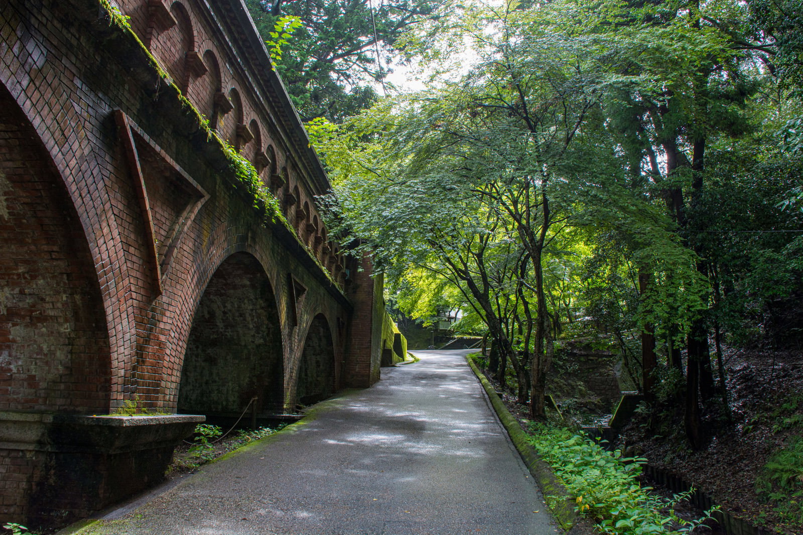 朝の木漏れ日が差し込む南禅寺境内の水路閣横坂道と石畳
