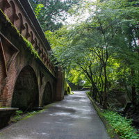 朝の木漏れ日を浴びる水路閣横の坂道の写真