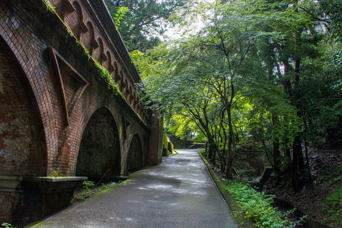 朝の木漏れ日を浴びる水路閣横の坂道