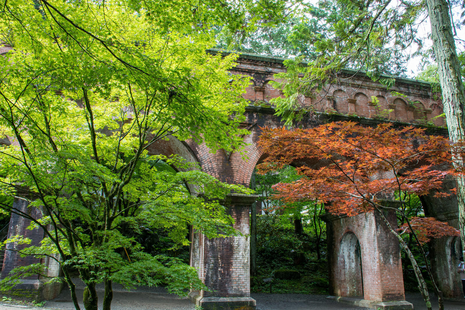 京都南禅寺境内の水路閣と青紅葉と赤紅葉が写る風景