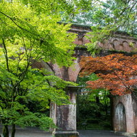 青紅葉と赤紅葉と赤茶色の水路閣の写真