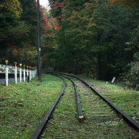 森の中へと続く道路沿いの廃線の写真