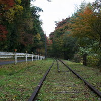 道路と並走する初秋の廃線の写真