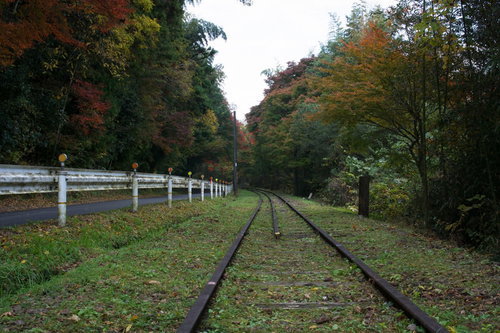 道路と並走する初秋の廃線