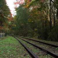 初秋の紅葉と錆びついた線路の写真