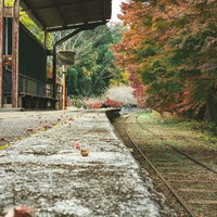 廃駅のホームに落ちる紅葉の写真