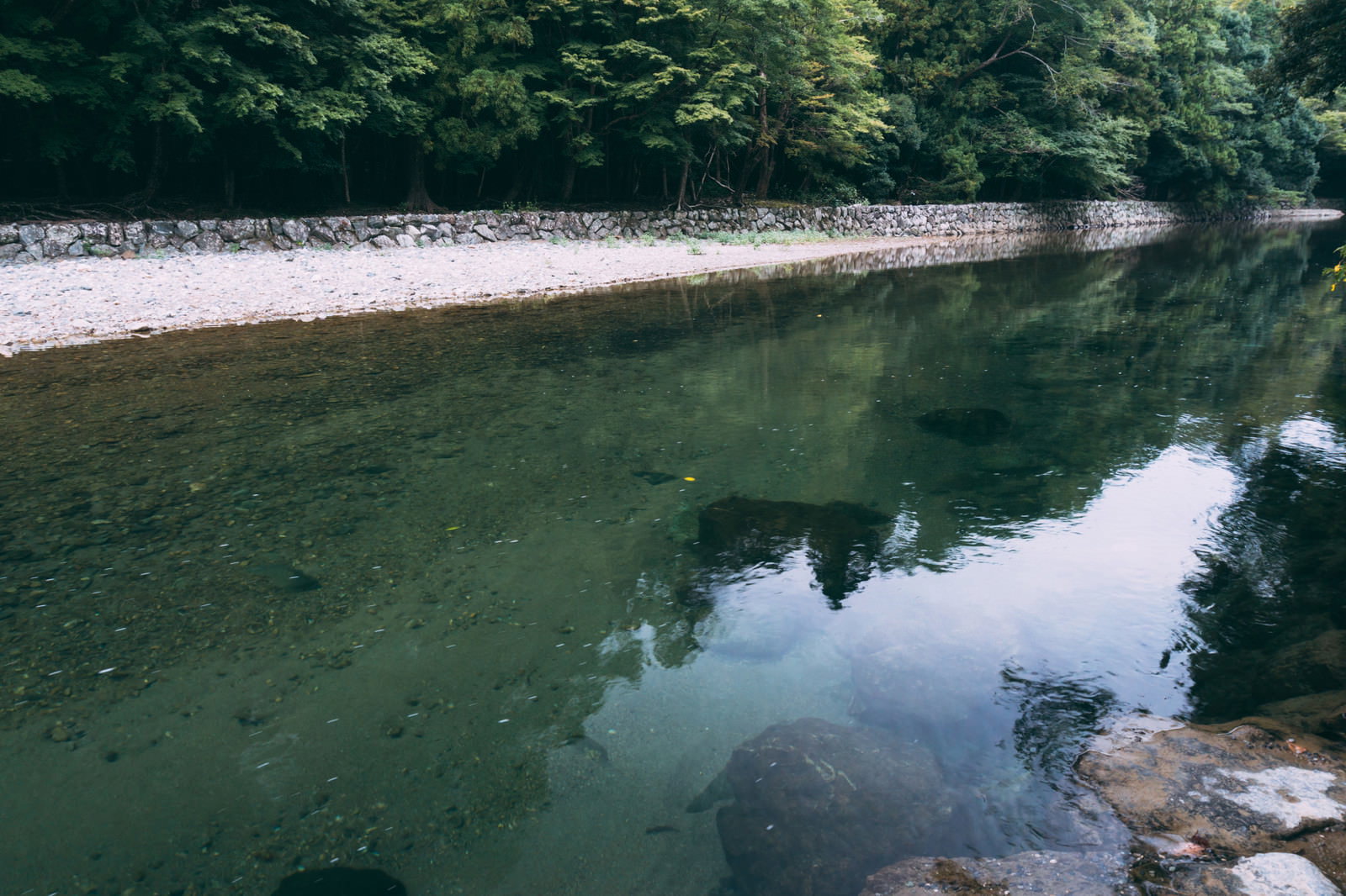 皇大神宮の境内を流れる五十鈴川の清流と緑豊かな森