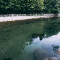 皇大神宮を流れる五十鈴川の写真