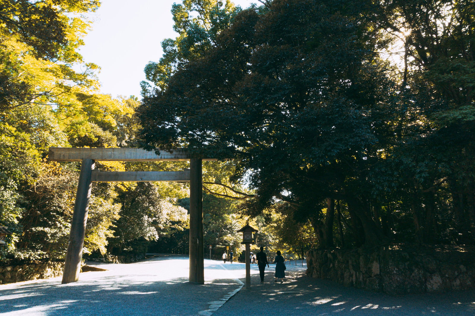 木々に囲まれた神社の参道に立つ石造りの鳥居