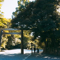 木々に囲まれる御手洗場近くの鳥居の写真
