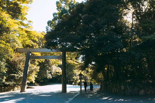 木々に囲まれる御手洗場近くの鳥居