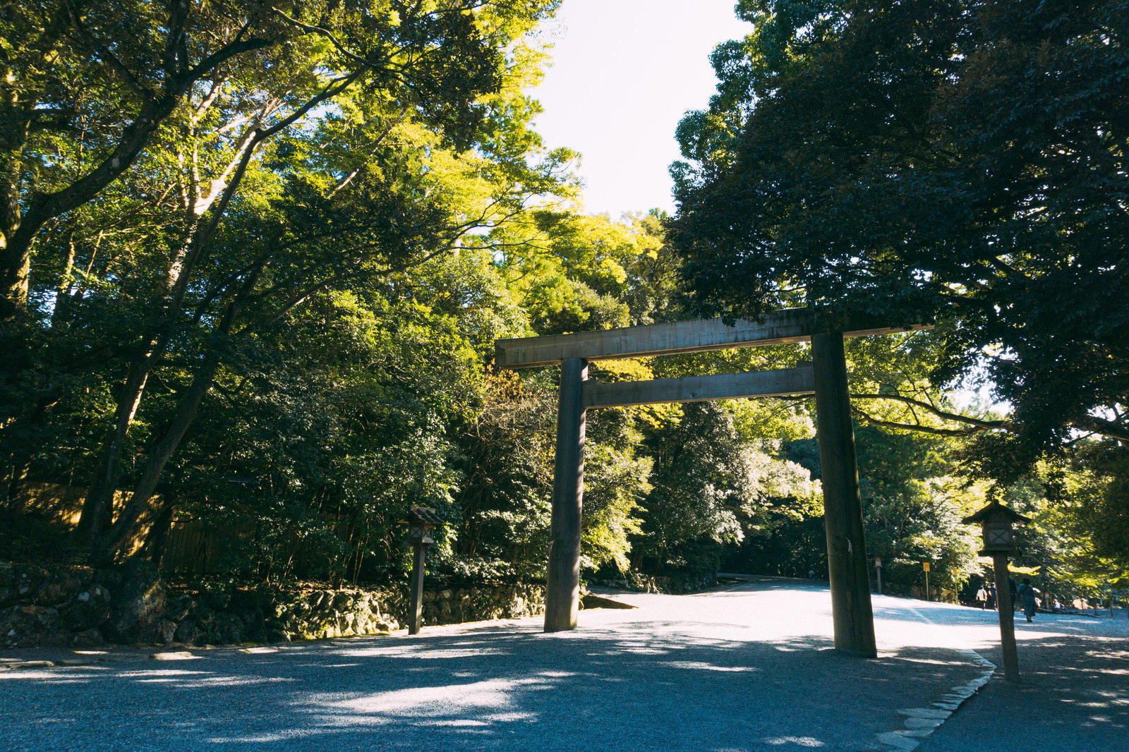 森の中の参道に立つ鳥居と緑豊かな木々の皇大神宮内宮