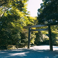 森の中を進む皇大神宮（伊勢神宮・内宮）参道の写真