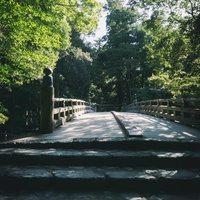 木の影が落ちる風日祈宮橋（かざひのみのみやばし）の写真