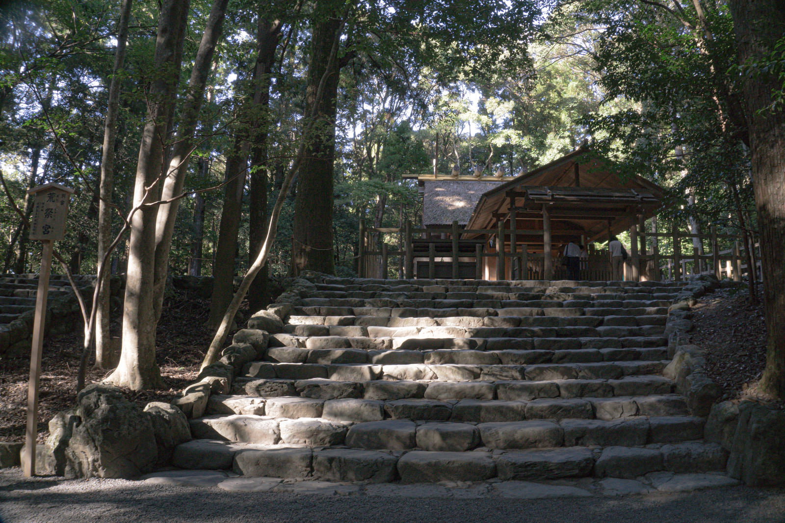 森の中の石段を上がった先に見える神社建物と周囲を囲む緑の木々