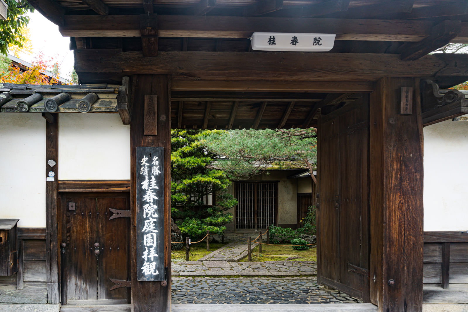妙心寺桂春院の木造山門と奥に見える緑の庭園