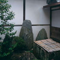 桂春院「清浄の庭」の井筒周りの様子の写真