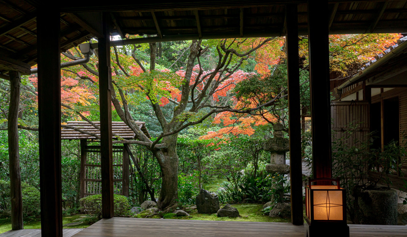 秋の紅葉が鮮やかな京都妙心寺桂春院の書院から眺める苔庭