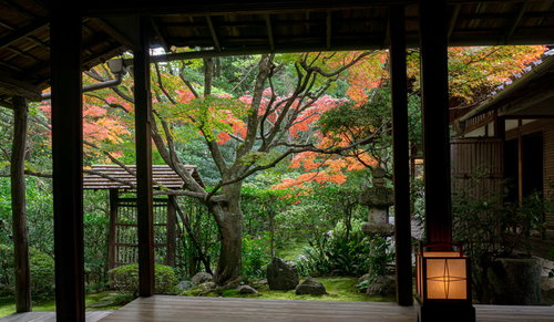 桂春院の書院に座り眺める「侘（わび）の庭」