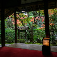 行燈が置かれ落ち着いた雰囲気の書院の前に広がる「侘（わび）の庭」の写真