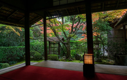 行燈が置かれ落ち着いた雰囲気の書院の前に広がる「侘（わび）の庭」
