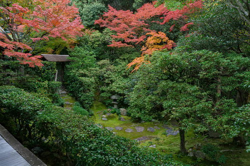 秋の桂春院「思惟（しい）の庭」の眺め
