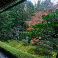 妙心寺桂春院の方丈から眺める「真如（しんにょ）の庭」の写真