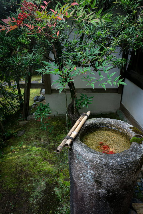 庭の隅のつくばい