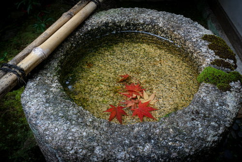 つくばいに散り落ちた紅葉