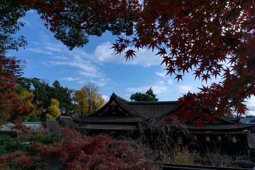 もみじ苑展望所から見る紅葉の額縁の中の本殿