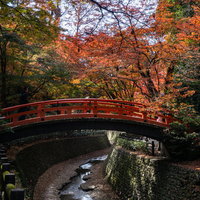北野天満宮 御土居のもみじ苑を流れる紙屋川にかかる鶯橋の写真